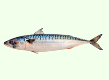 Popular Product Images
